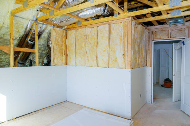 Best Insulation for New Construction  in Lo, HI